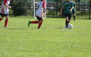 560c2d0699453_CIMG2404.JPG