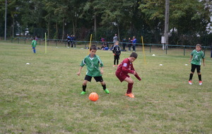 561be62b7dd46_DSC0497.JPG