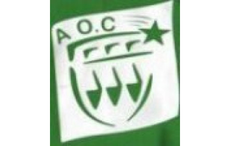 MATCH AMICAL SENIORS 1 JEUDI A 20H CONTRE LE TOAC.