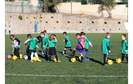 Horaires d'entraînement des différentes catégories